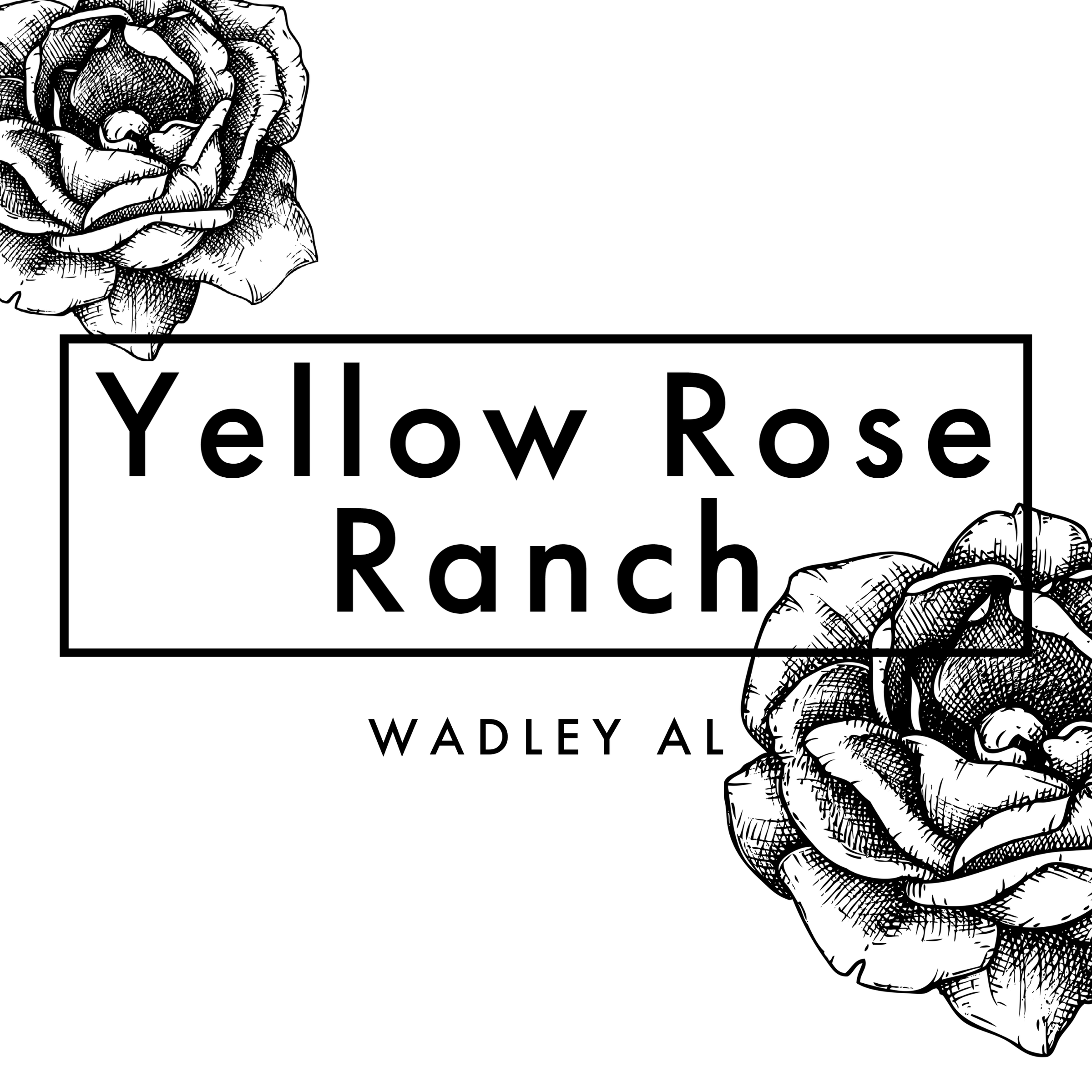 Yellow Rose Ranch logo
